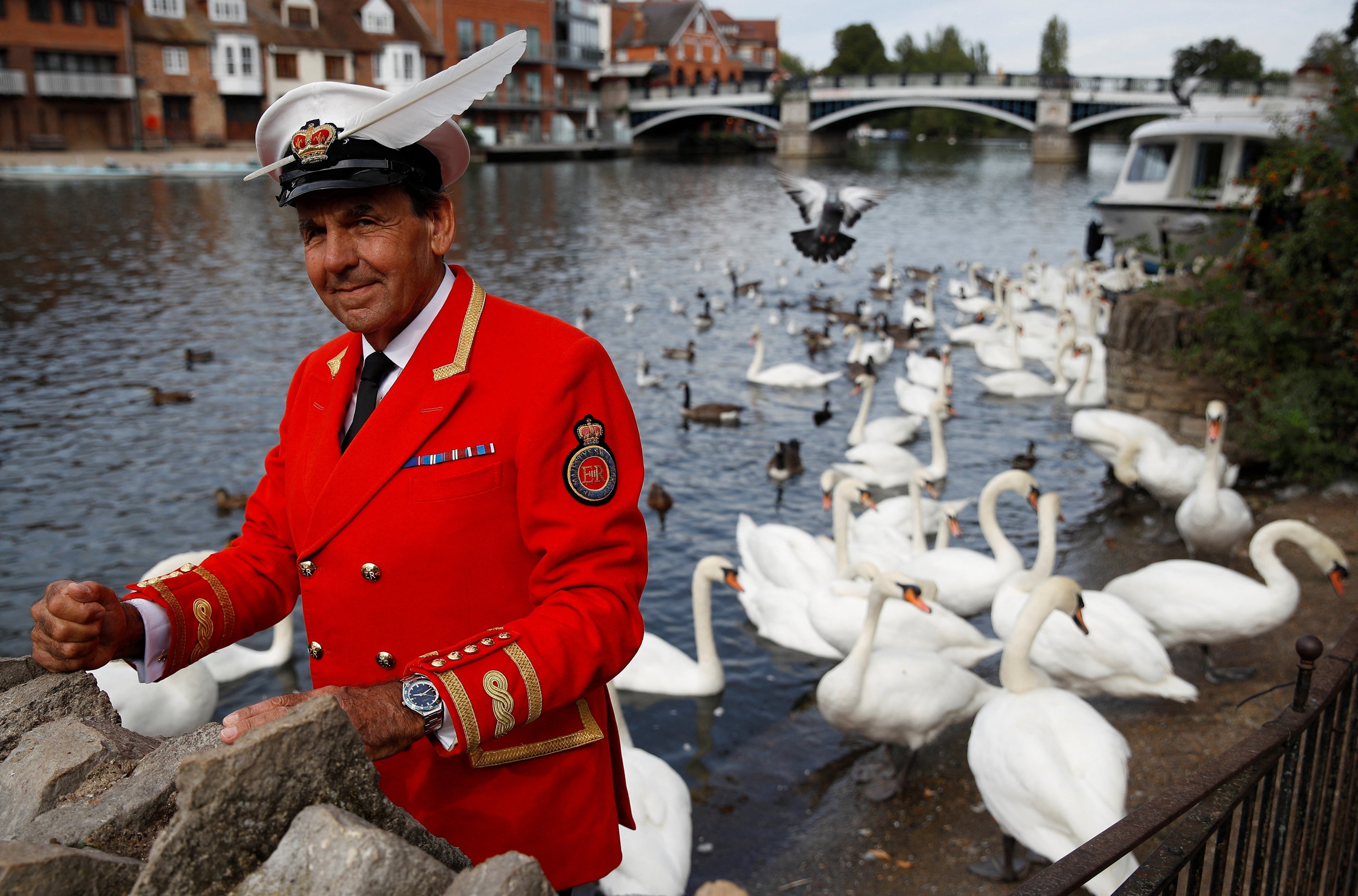 The King's swans and signet rings